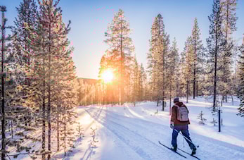 Ski-samling